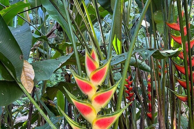 Exotic Garden EN Rancho Ecoturístico - The Experience From a Travelers Perspective