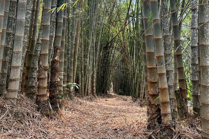 Exotic Garden EN Rancho Ecoturístico - Who Should Consider Taking This Tour?