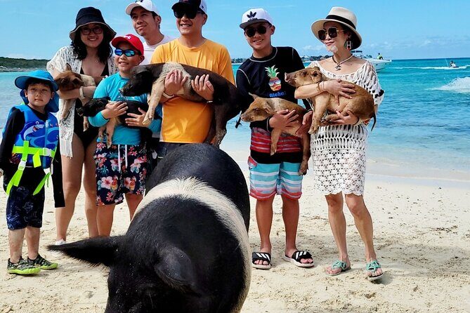 Exotic half day private charters to Rose Island, Pigs and Turtles - FAQ