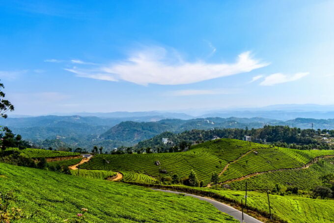 Exotic Kerala Backwater Tour - The Sum Up