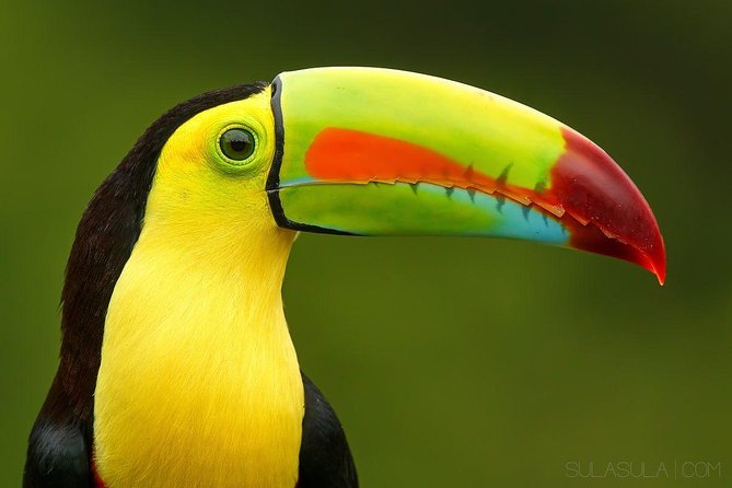 Exotic Landscapes of Costa Rica - Included Experiences