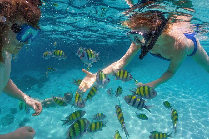 Expedition to the Arch and to the Lands End, with Snorkeling Beach. - Who Should Consider This Tour?