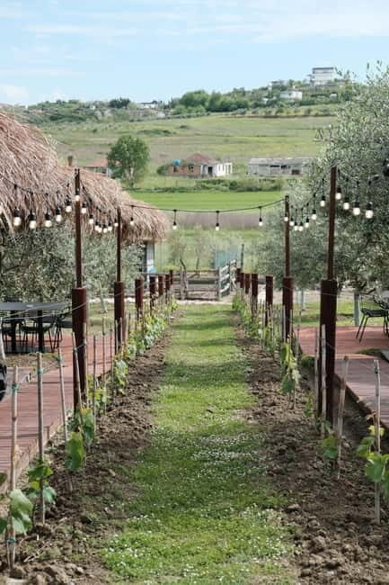 Experience Albanian Wine, daily tours from Durres - What You Can Expect from This Albanian Wine Tour