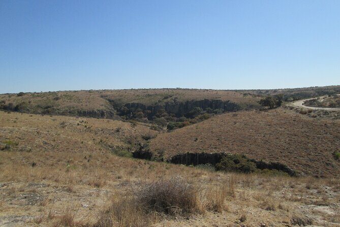 Experience an Archeological Tour in Cañada de la Virgen - Authenticity and Educational Value