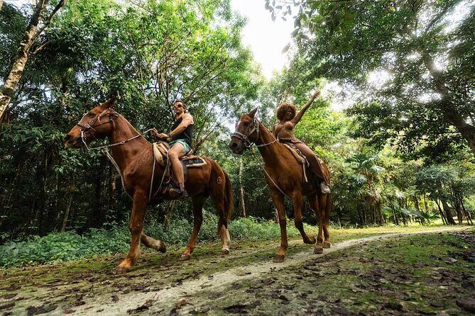 Experience ATV, Ziplines, Cenote and Horses Ride in Cancún - What to Expect from the Cancun Adventure Tour