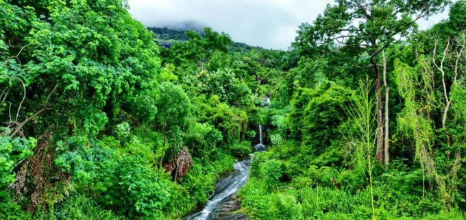 Experience Authentic Sri Lankan Life With Kasun! - Booking and Cancellation