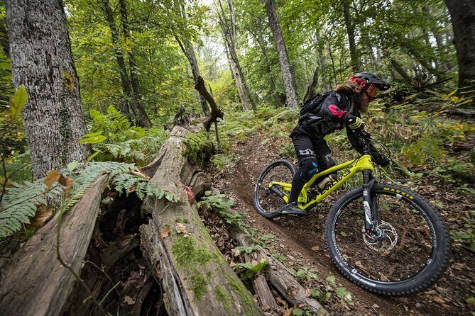 Experience Biking Adventure in Maui Mountain - Key Points