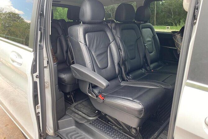 Experience Cancun's nightlife safely with Private Driver & Guide - Why This Tour Works Well