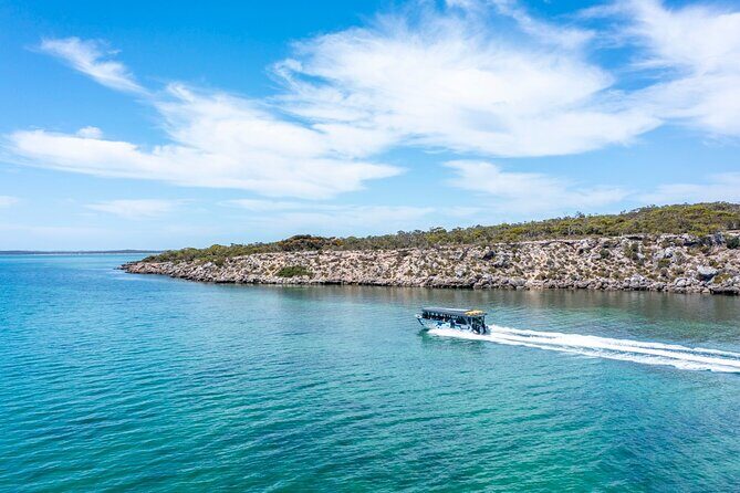 Experience Coffin Bay Short and Sweet Oyster Farm Tour - The Value of the Experience