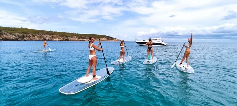 Experience Crystal paddle surf Tours + snorkel - Key Points