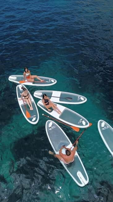 Experience Crystal paddle surf Tours + snorkel - Who Will Love This Experience?