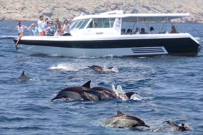 Experience Dolphin Watching and Snorkeling in Muscat - Good To Know