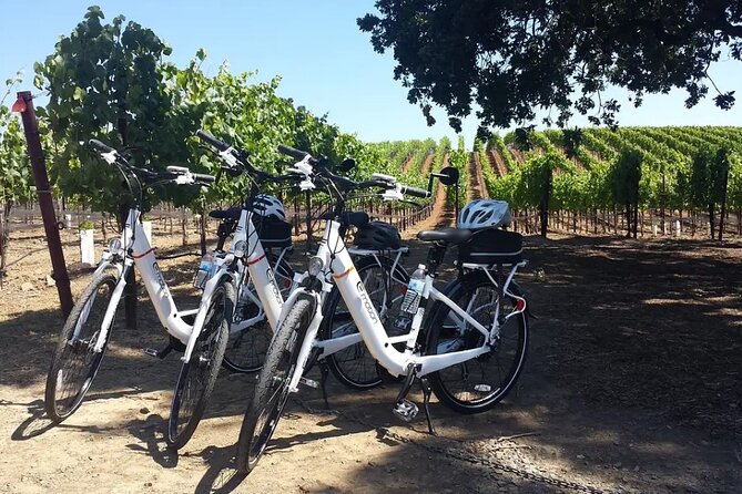 Experience E-Bike With Wine Tasting Activity - Aligning Expectations