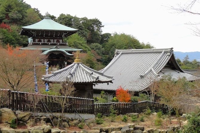 Experience Edo Tokyo Walking Tour - Meeting and Pickup Details