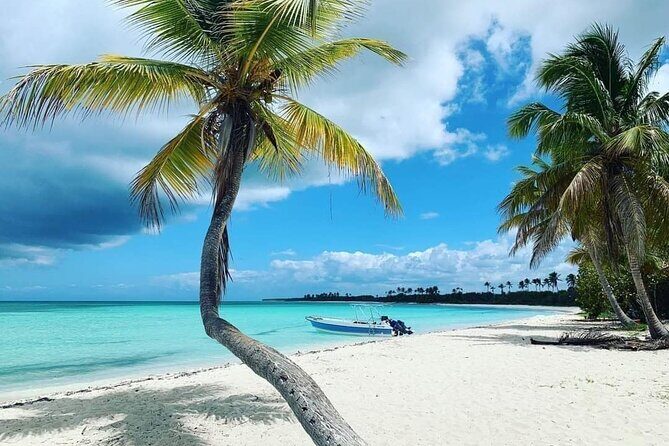Experience Full Day Tour of Tropical Bliss at Isla Saona - A Closer Look at the Tour