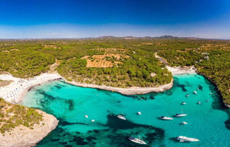 Experience in Mondrago / Samarador / Trencada Snorkel and SUP - Exploring the Stunning Beaches