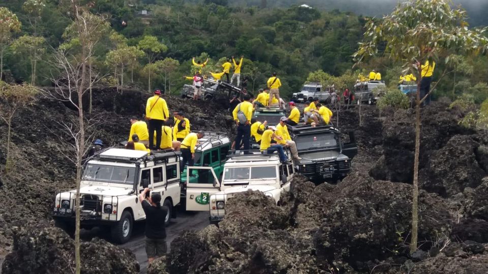 Experience Land Rover Jeep Tour Kintamani & Ubud Swing - Kintamani Lunch and Views