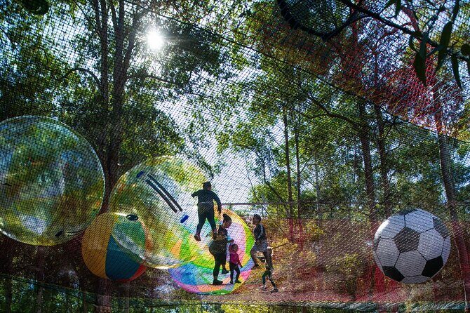 Experience Ourimbah State Forest Networld Adventure - Interpreting the Value