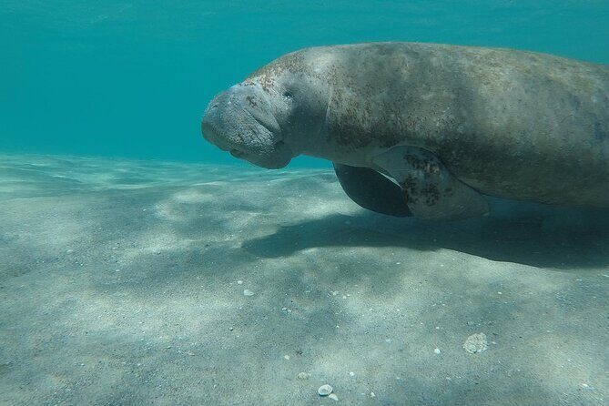 Experience Peanut Island Adventures with Go Pro - The Value of a Private Experience
