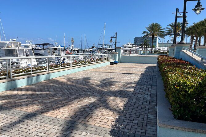 Experience Peanut Island Adventures with Go Pro - Who Should Book This Tour?