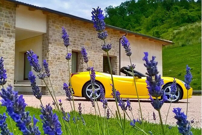 Experience PLUS Program - Commitment to Service and Sustainability