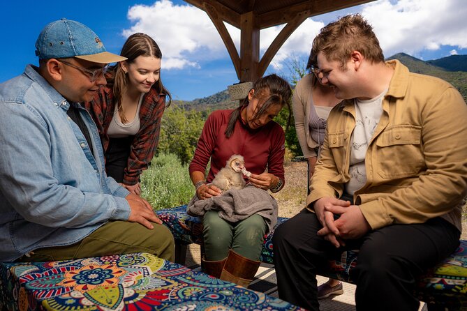 Experience Raptors and Falconry in Reno - Overview and Experience