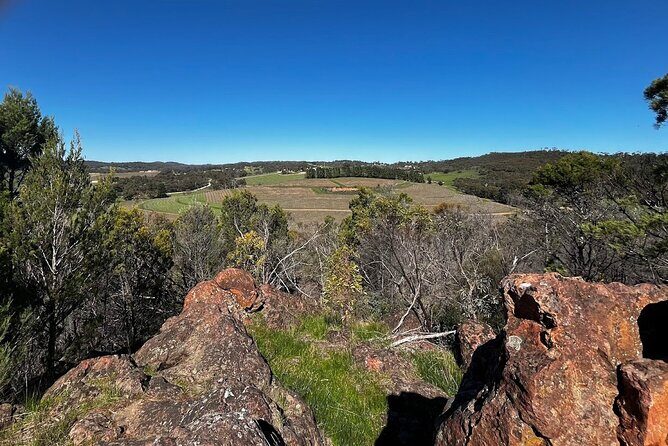 Experience SA Clare Valley Private Wine Tour - Key Points