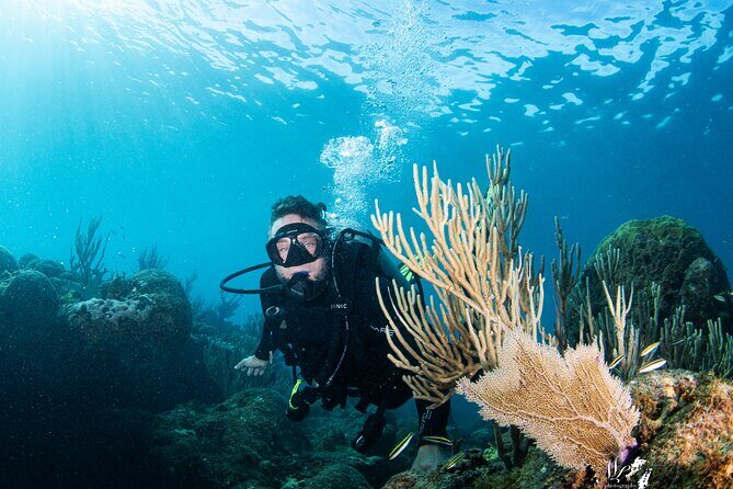 Experience Scuba - Key Points