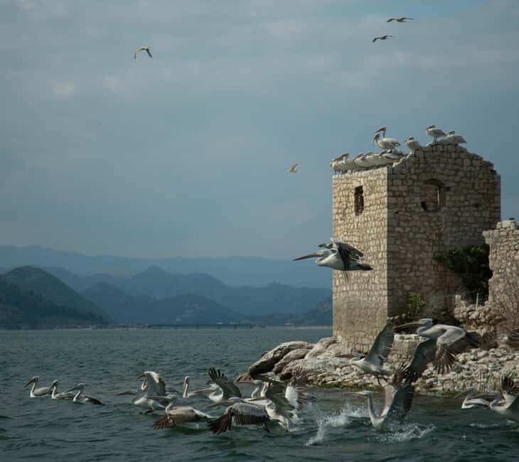 Experience Skadar Lake in 1h! - Who Should Consider This Tour?