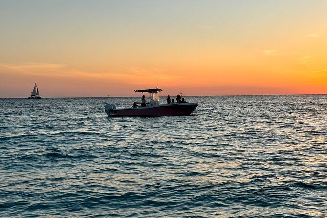 Experience Sunset and Dolphin Adventure in Panama - Introduction
