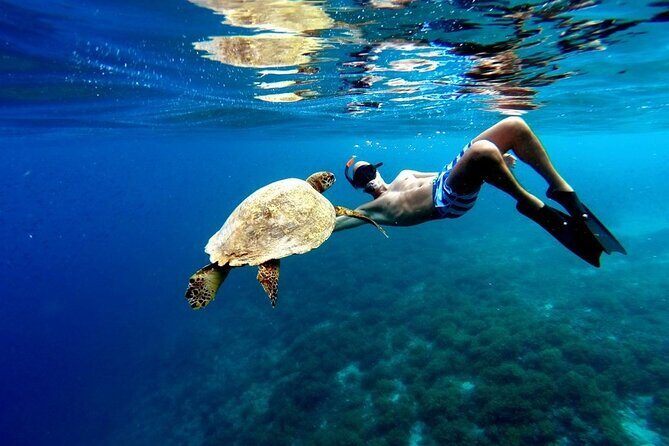 EXPERIENCE SWIMMING with the TURTLES and Discover the amazing Tulum Ruins tours. - Relaxing in Akumal’s White Sand Beaches and Lunch