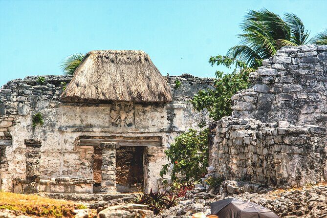 EXPERIENCE SWIMMING with the TURTLES and Discover the amazing Tulum Ruins tours. - Authentic Experiences and Guide Highlights