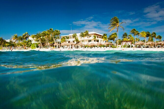 Experience swimming with turtles and explore the ruins of Tulum. Lunch included. - Who Will Love This Tour?