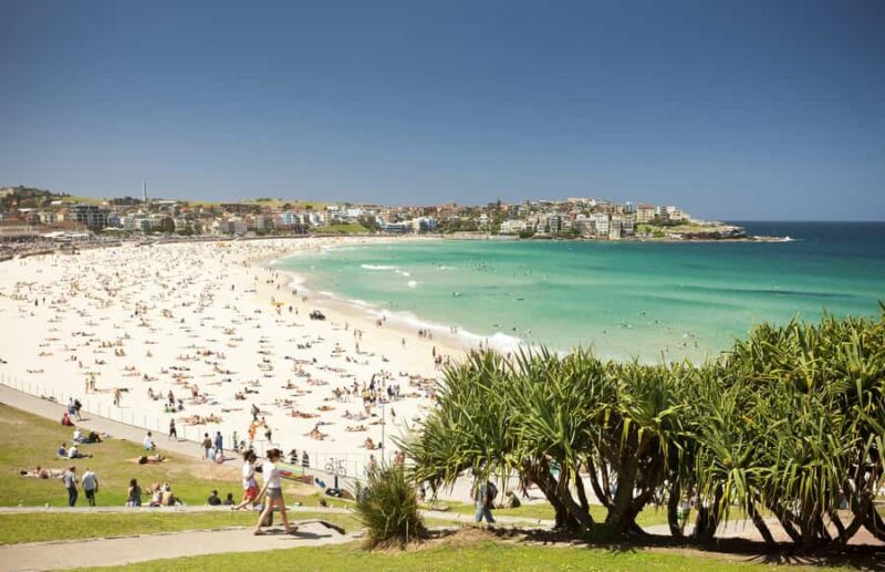 Experience Sydney's Best Beaches: Private Tour - The Sum Up