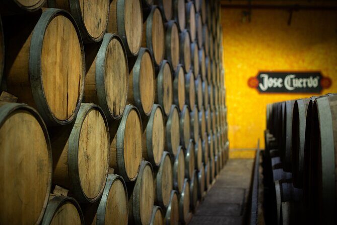 Experience Tasted Pairing - Who Should Consider This Tour?