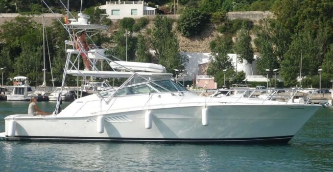 t7373096
