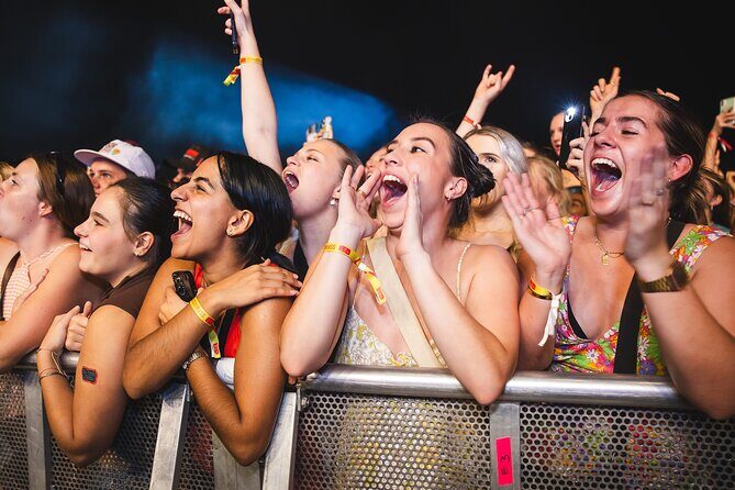 Experience the BASSINTHEGRASS Music Festival at Mindil Beach - The Pro and Cons of the Experience