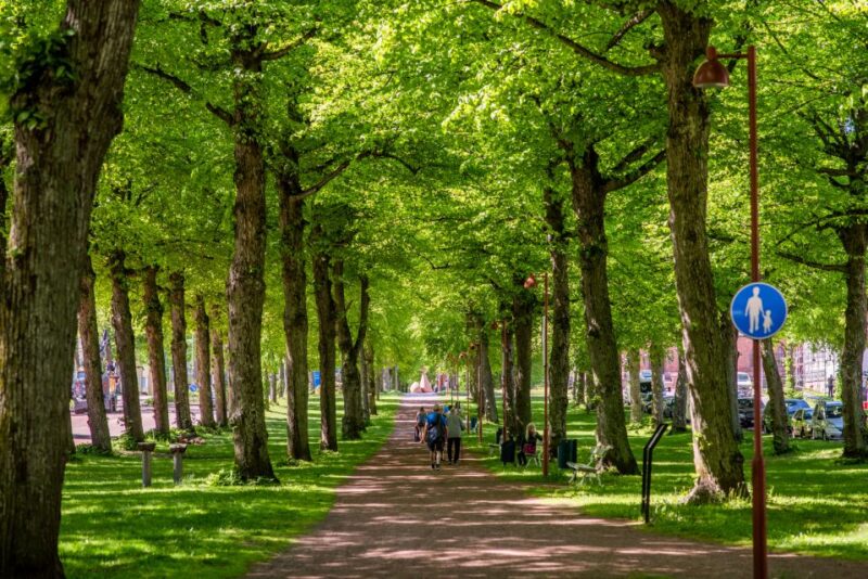 Experience the Best of Aland With Our Private Guided Tour - Language Options and Availability