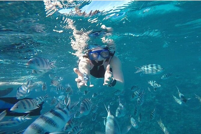 Experience the Dolphin House Royal VIP Sea Trip in Hurghada - Booking Details and Policies