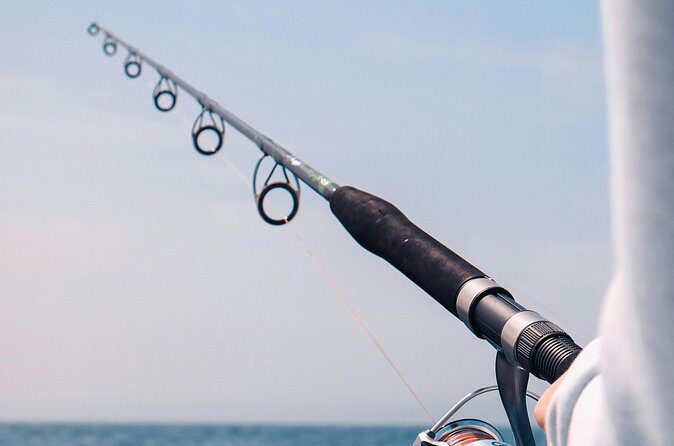 Experience the Exciting Fun of Surf Fishing - Who Is This Tour Best For?