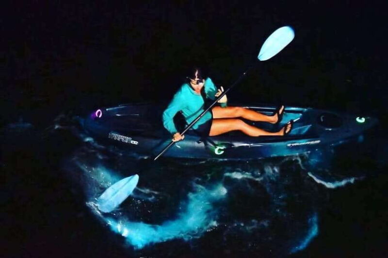 Experience the Magic: Night With Glowing Plankton - Itinerary: What to Expect