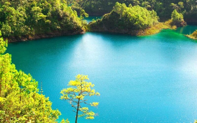 Experience the Magic of Chiapas: 3-Day Tour - An Introduction to Chiapas’s Natural and Cultural Wealth