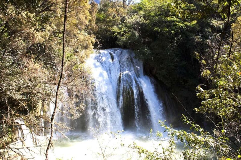 Experience the Magic of Chiapas: 3-Day Tour - What to Pack and Prepare