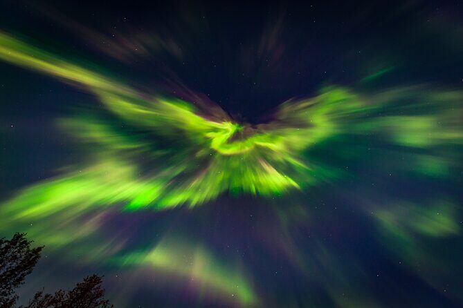 Experience the majestic Auroras Kiruna-Abisko & lodge dinner - The Sum Up