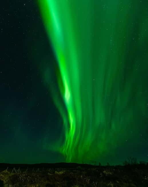 Experience the majestic Auroras Kiruna-Abisko & lodge dinner - The Sum Up