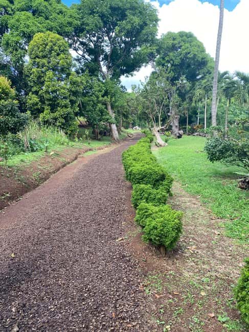 Experience the natural beauty and culture half day tour - Key Points