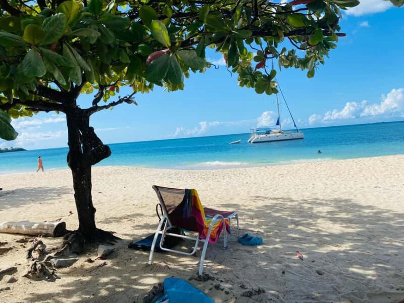 Experience the natural beauty and culture half day tour - A Deep Dive into the Tour Experience