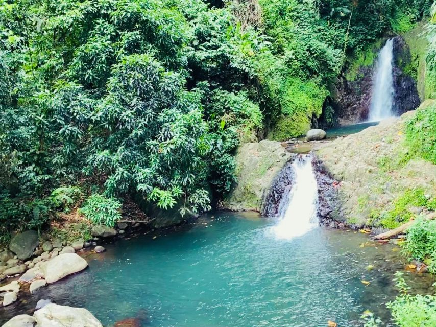 Experience the Natural Beauty and Culture Half Day Tour - Key Points