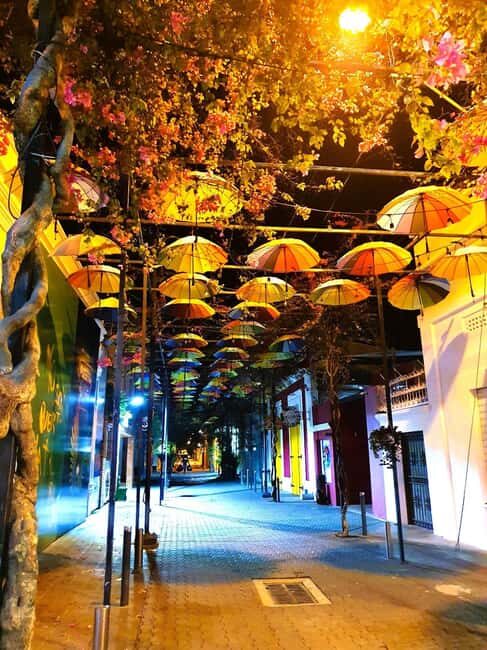 Experience the Nightlife: Puerto Plata + Sosua + Cabarete - Final Thoughts