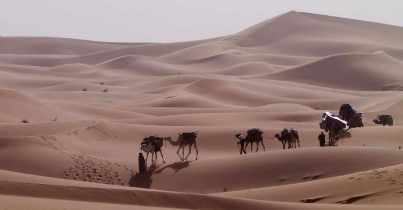 Experience the Route of Old Caravans Through the Vast Sahara - Itinerary Highlights